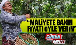 Fındıkta taban fiyat beklentisi