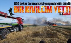 Burdur’da 800 dekar tarım arazisi yangında küle döndü