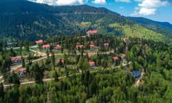 Foleya Mountain Resort, Türkiye’nin En İyisi