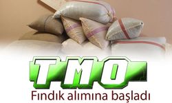 TMO fındık alımına başladı