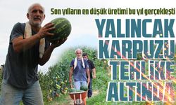 Yalıncak karpuzu tehlike altında