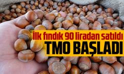 TMO Ordu’da fındık alımlarına başladı 