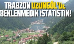 Trabzon Uzungöl'de beklenmedik istatistik!