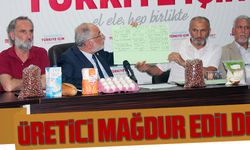 İktidar Fındık Üreticisini Mağdur Etmiştir