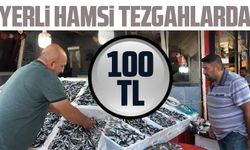 Yerli Hamsi 100 TL’den Tezgahlarda