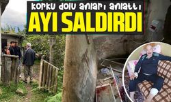 Cafer Yalvaç, ayının saldırısına uğradı