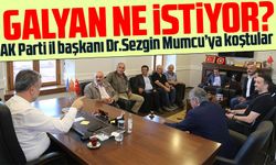 Galyan sorunlarını Sezgin Mumcu'ya iletti