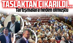 Taslaktan Çıkarıldı…