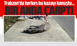 Trabzon’da herkes bu kazayı konuştu