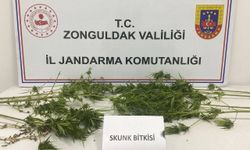 Zonguldak'ta uyuşturucu operasyonu  