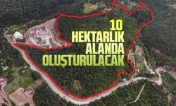 Artvin’e 10 Hektarlık alanda Millet Ormanı oluşturulacak