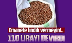 Fındık fiyatı 110 Lirayı devirdi