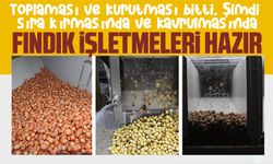 Fındık işletmeleri hazır