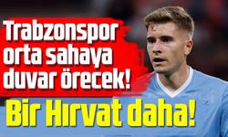 Trabzonspor'dan orta sahaya bir transfer daha!