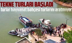 Tekne Turları Hayvanat Bahçesi gibi
