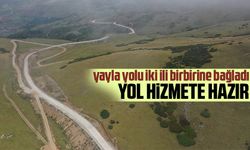 Yayla yolu iki ili birbirine bağladı