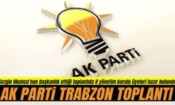 Ak Parti Trabzon'da olağan toplantı