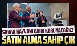 Sokak hayvanlarını koruyacağız!