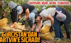 Gürcistan’dan Artvin’e sıçradı!