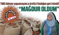 TMO üreticiyi mağdur etti