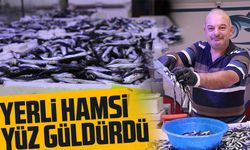 Bölgede yerli hamsi yüz güldürdü