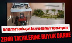 Jandarma’dan kaçak kazı ve kenevir operasyonu