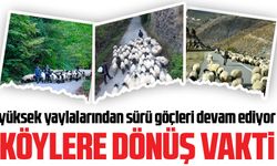 Gümüşhane yaylalarından sürü göçleri devam ediyor