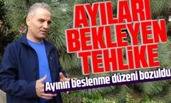 Yiyecek verilen ayıları bekleyen tehlike