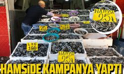 Hamside Kampanya Yaptı