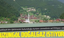 Turizm cenneti Uzungöl doğalgaz istiyor