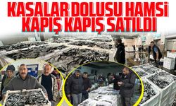 Kasalar dolusu hamsi kapış kapış satıldı