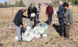 Organik Tarım Ve Ata Tohumuyla Üretiliyor