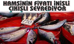 Hamsinin Fiyatı İnişli Çıkışlı Seyrediyor