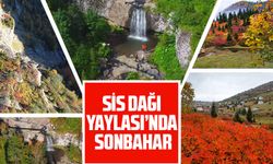 Sis Dağı Yaylası’nda Sonbahar