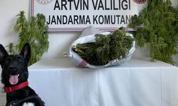 Jandarma Uyuşturucu Tacirlerine Göz Açtırmıyor