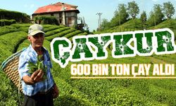 Çaykur 600 Bin Ton Çay Aldı                   