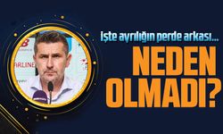 Nenad Bjelica ile neden olmadı?