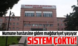 Numune hastanesinde sistem çöktü