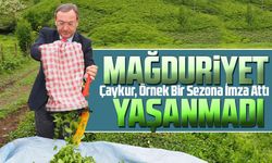Çaykur, Örnek Bir Sezona İmza Attı