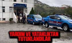 Yardım ve yataklıktan tutuklandılar