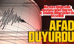 Bölge depremle sallandı