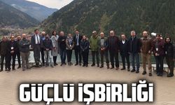 Güçlü işbirliği