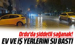 Ordu'da şiddetli sağanak! 