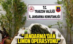 "Jandarma'dan limon operasyonu"