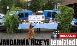 Rize’deki operasyonlarda 14 kişi gözaltına alındı