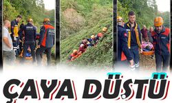 Rize’de çay bahçesine yuvarlandı