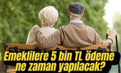 Emeklilere 5 bin liralık ödeme ne zaman yapılacak?
