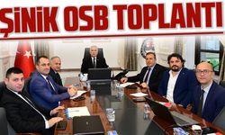 Şinik OSB Aziz Yıldırım başkanlığında toplantı