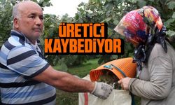 Üretici Kaybediyor