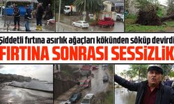 Şiddetli fırtına asırlık ağaçları kökünden söküp devirdi